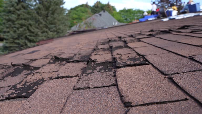 Trusted Swissvale, PA Roofing Service Experts
