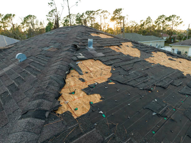 Best Roof Leak Repair  in Swissvale, PA